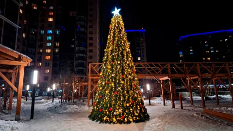 Русская ель 9 м